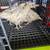 Pullets and chicks 1 thumbnail