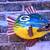 GREEN BAY PACKERS COCONUT FISH GUY! 1 thumbnail