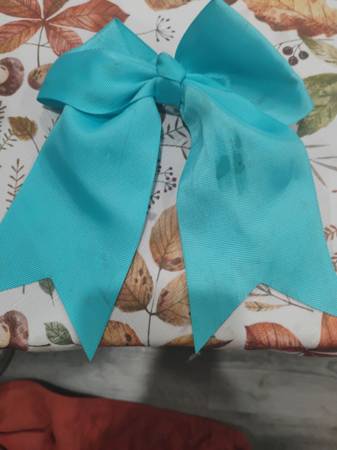 Sky Blue ribbon 1