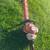 Stihl HS82T Professional Hedge Trimmer 5 thumbnail