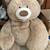 Giant Teddy Bear 1 thumbnail