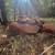 Large Red Landscape Boulders – Cash or Trade 5 thumbnail