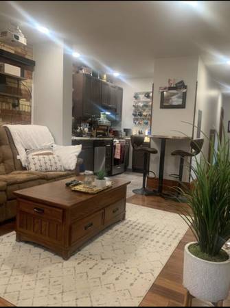 Downtown Ithaca Apartment Available October 1st 1