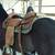 Custom 18" roping saddle 3 thumbnail