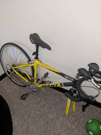 Giant tcr 1
