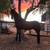 Horse andaluse 2 thumbnail