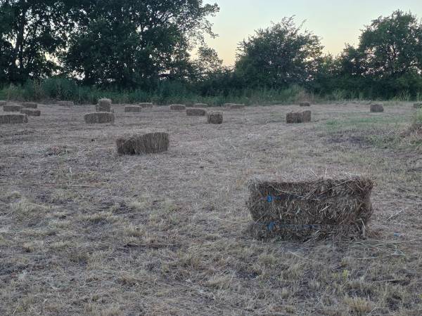Square Bales 1