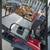 Evolution Forester Six Passenger Golf Cart 8 thumbnail