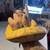 rehome snakes ball python 12 thumbnail