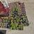 Eiko's Annual Plants/Flowers/Trees Sale $1 and up 12 thumbnail