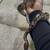 Ball Python 2 thumbnail