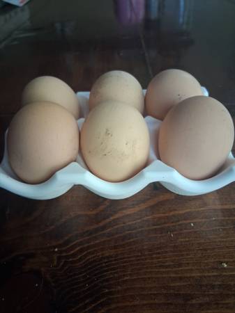 Handmade Ceramic Egg Storage Trays 1