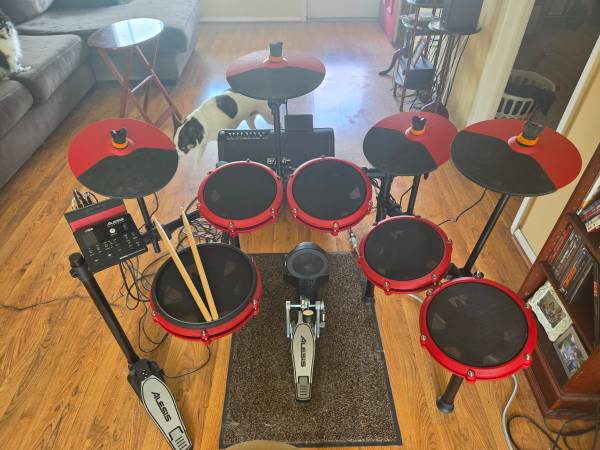 Alesis Electronic Drum Set 1