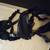FALLTECH ARC FLASH NOMEX KEVLAR Harness Size Medium 2 thumbnail