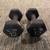 12, 15, & 40 lb Dumbbell Weights & Weighted Bars 5 thumbnail