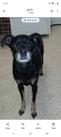 Please return Jeter-reward offered 1