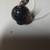Black Crackled Agate Mushroom Necklace 3 thumbnail