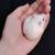 Tiny small hamster breed!  Docile and friendly! 6 thumbnail