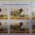 1985 Stamps TANZANIA LION SIMBA (Panthera Leo) 5 thumbnail