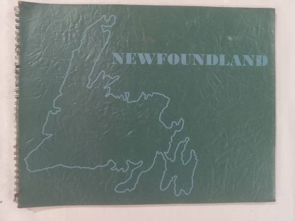 DUTY IN NEWFOUNDLAND -BOOK 1