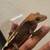 Crested Geckos 2 thumbnail
