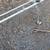 Ladder rack for full size and small truck 4 thumbnail