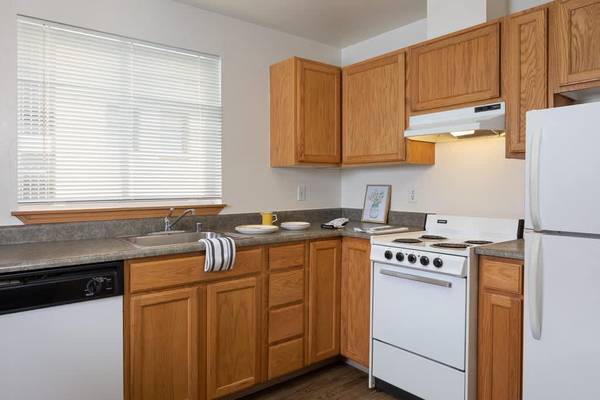 $1,456 / 1hab - 566 pies² - Acogedor, asequible y bien conectado, apartamentos para personas mayores de 55 años en First Hil (First Hill)63688607883267123