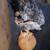Lost cat 6 thumbnail