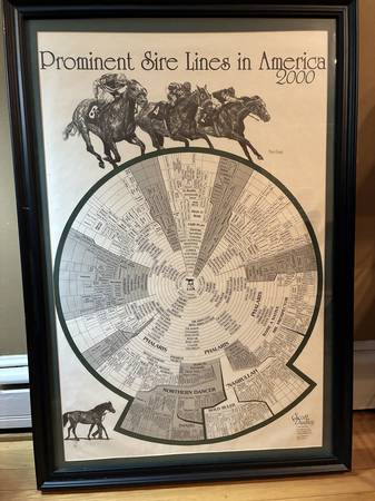Thoroughbred poster 1