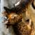 Free kittens 9 thumbnail