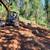 LOGGING , VEIW CLEARING , LAND CLEARING , EXCAVATOR WORK 5 thumbnail