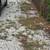 Need help cleaning up yard 1 thumbnail