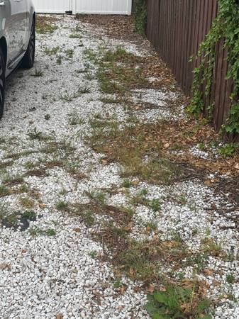 Need help cleaning up yard 1