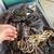 Electrical extension cords 1 thumbnail