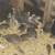 Guinea Keets, white homers, and Roosters Available 2 thumbnail
