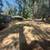 Land Clearing • Trenching • Septic Repairs – Williston Area 12 thumbnail