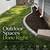 Landscaping masonry debris leaves lawn mowing 10 thumbnail