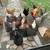 Hens 3 thumbnail