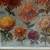 Beautiful, Large Print of Chrysanthimums 6 thumbnail