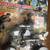 Action figure on atv Patrol & Rescue Freedom Mission new original box 1 thumbnail