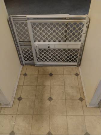 Dog gate 1