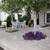 Seniors 62+ 5 thumbnail