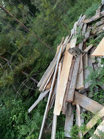 Cedar Boards 1