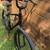 Large Frame Specialized Roll Hybrid Cruiser Bike. Aluminum bicycle 8 thumbnail
