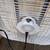 box fan 2 thumbnail