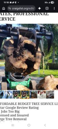 Hurricane cleanup and Tree Service 1