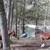 Trail mare 11 thumbnail