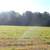3 Acre Home Site 3 thumbnail