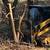 Eco-Friendly Land Clearing and Brush Cutting 13 thumbnail