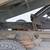 International 4300 17' dump dt466 Allison 2003 no rust 5 thumbnail